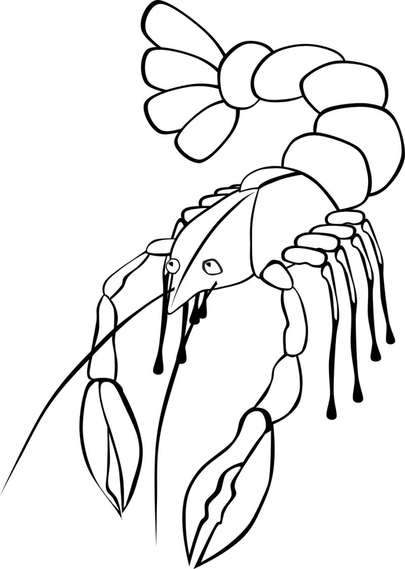Crayfish Nature Crustaceans Stickdatei – Tiere