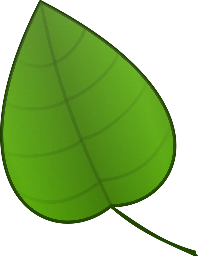 Leaf Green Plants Stickdatei – Natur