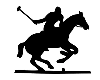 Horse Polo Pony Stickdatei