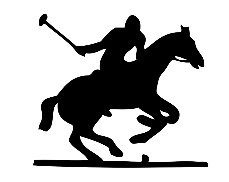 Horse Polo Pony Stickdatei – Tiere