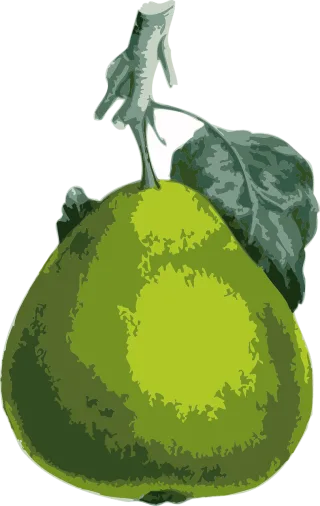 Pear Fruit Nature Stickdatei