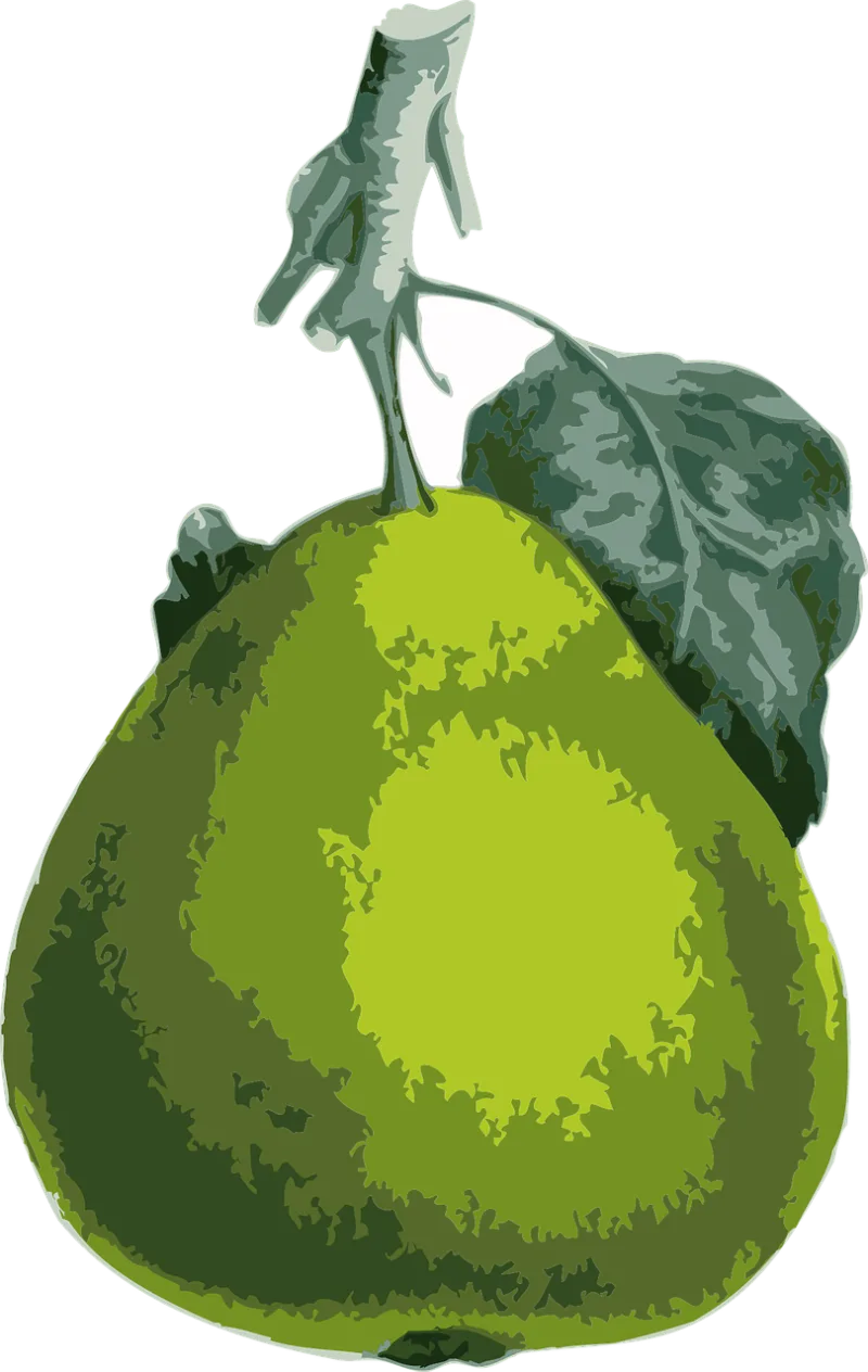Pear Fruit Nature Stickdatei – Essen & Trinken