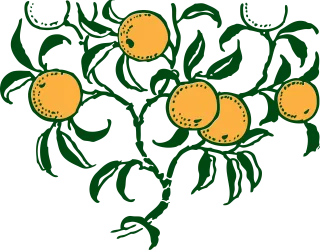 Orange Fruits Nature Stickdatei