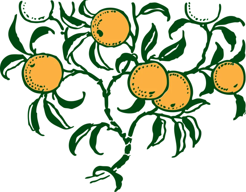 Orange Fruits Nature Stickdatei – Natur