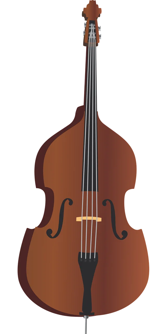 Double bass Bass Music Stickdatei – Musik