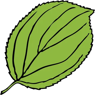 Apple Leaf Nature Stickdatei