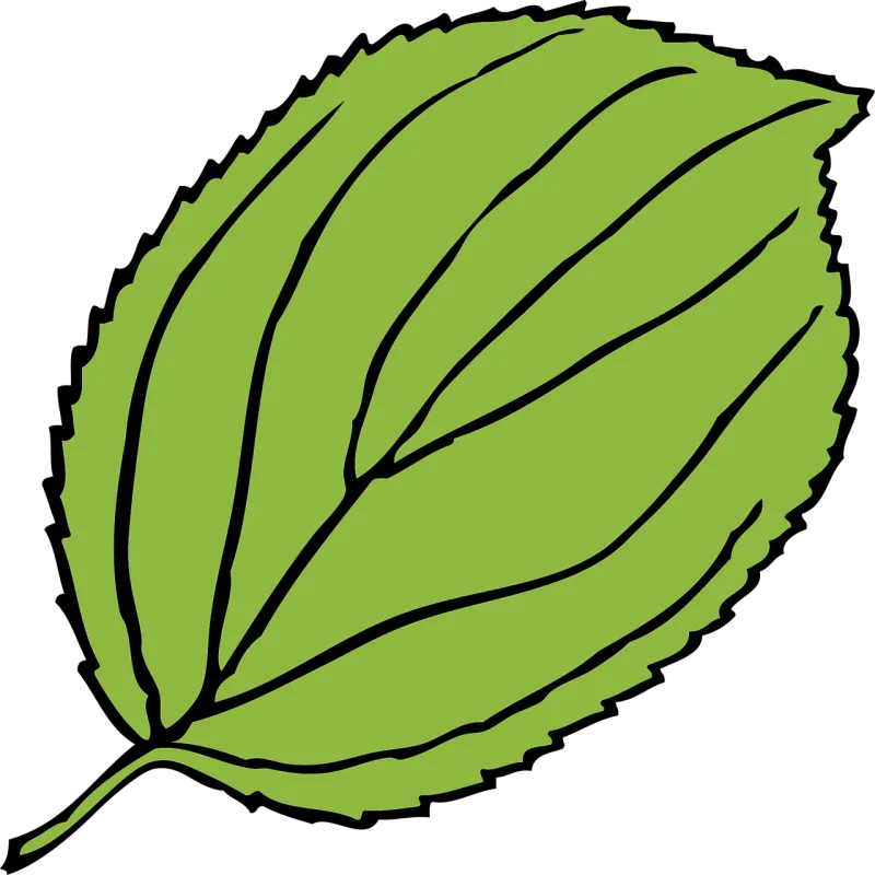 Apple Leaf Nature Stickdatei – Essen & Trinken