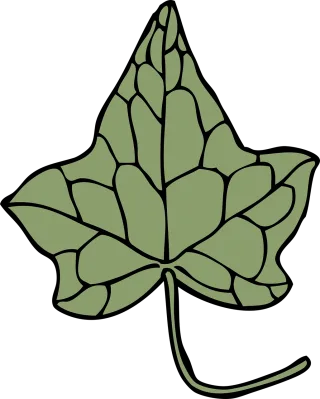 Ivy Leaf Flora Stickdatei