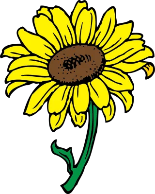 Sun Flower Flower wallpaper Stickdatei