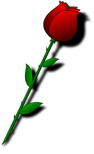 Rose Red Flower Stickdatei