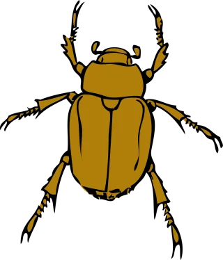 Beetle Stink Bug Stickdatei