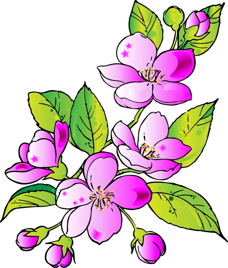 Flowers Drawing Flower Stickdatei – Blumen