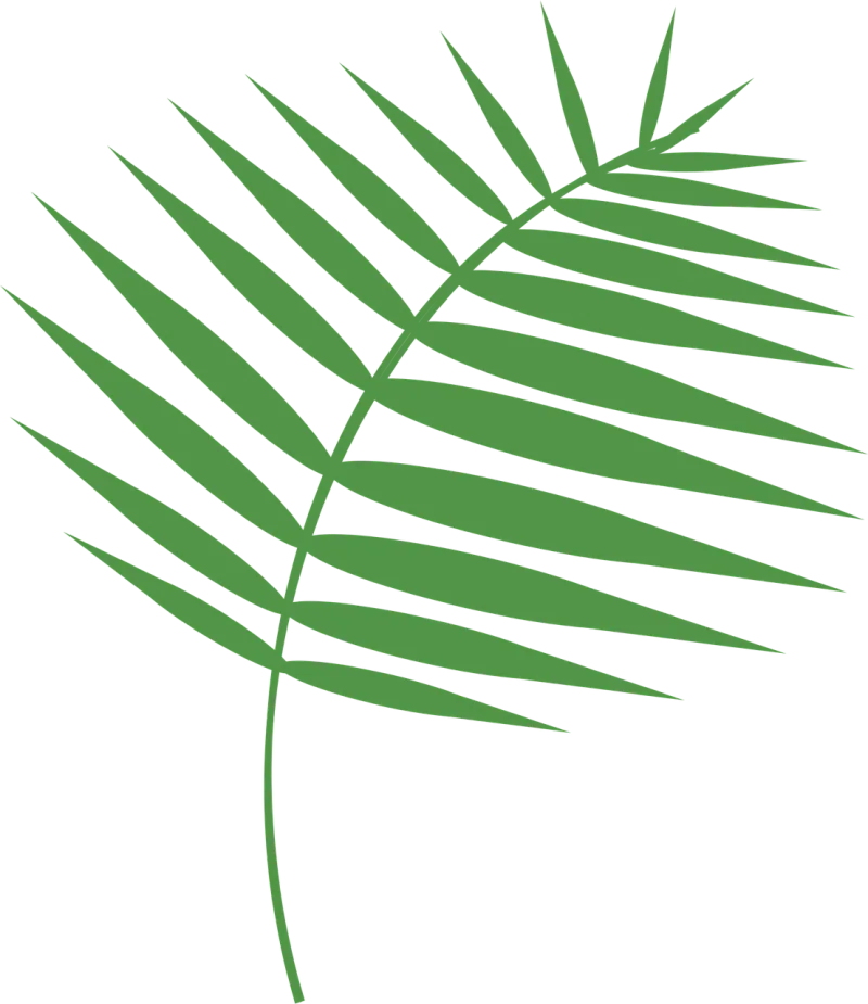 Graphic Palm Palm sunday Stickdatei – Natur