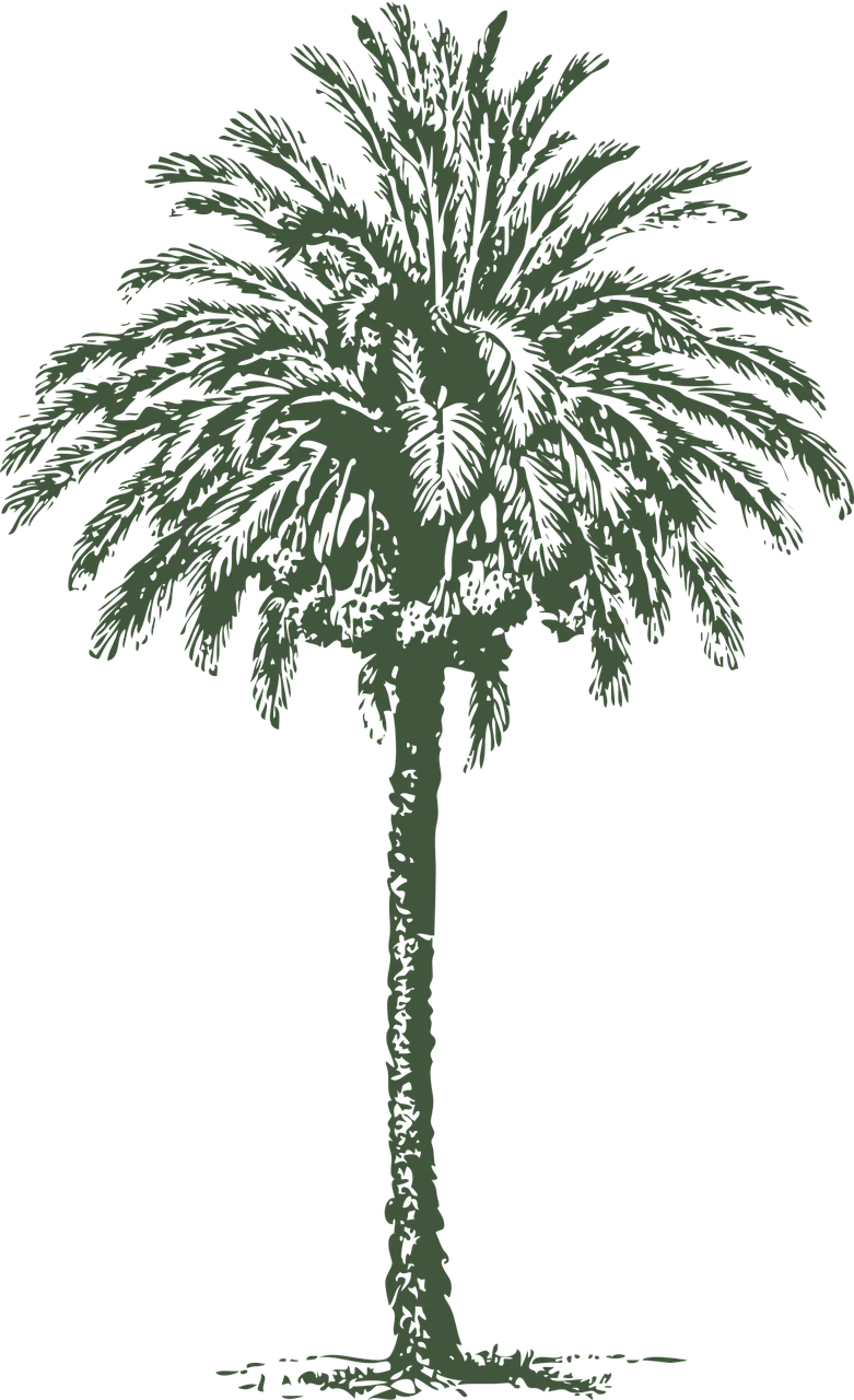 Date Palm Tree Stickdatei – Natur