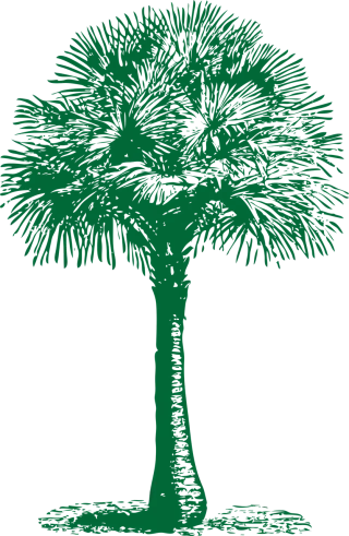 Fan Palm Tree Stickdatei