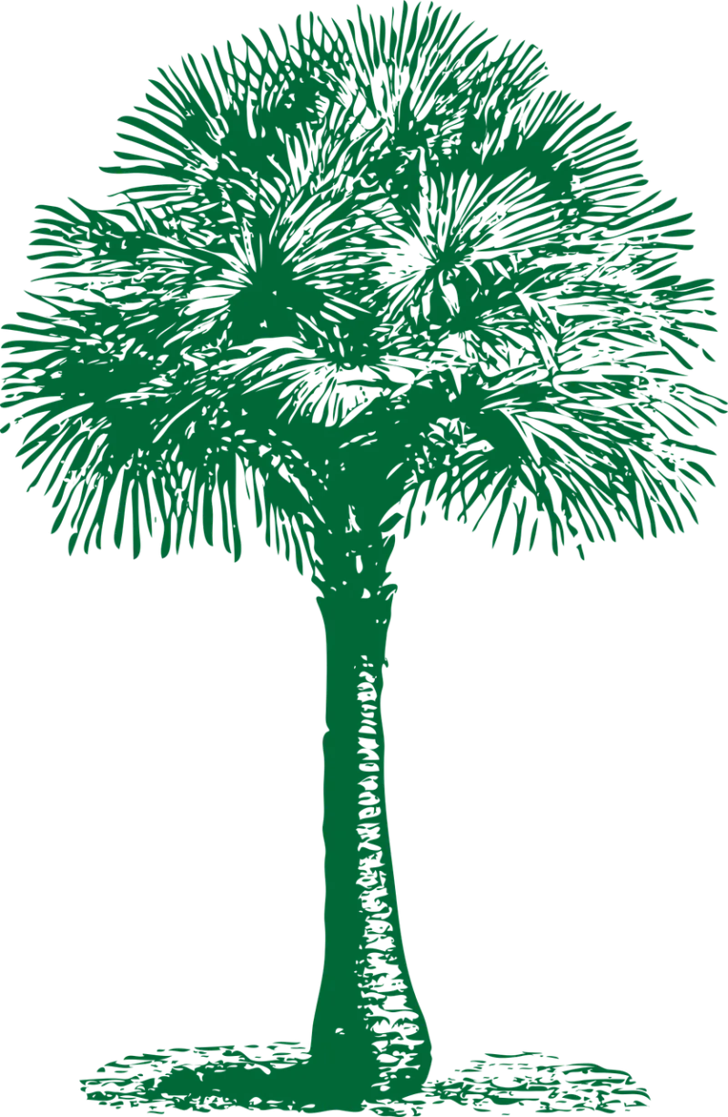 Fan Palm Tree Stickdatei – Natur