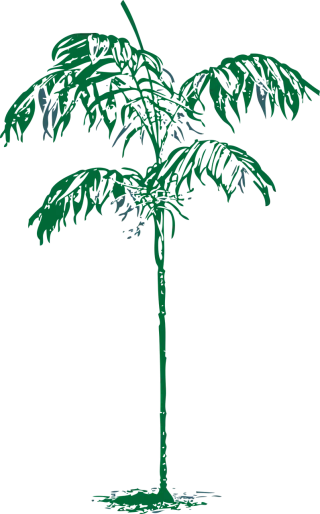 Palm Nature Tree Stickdatei