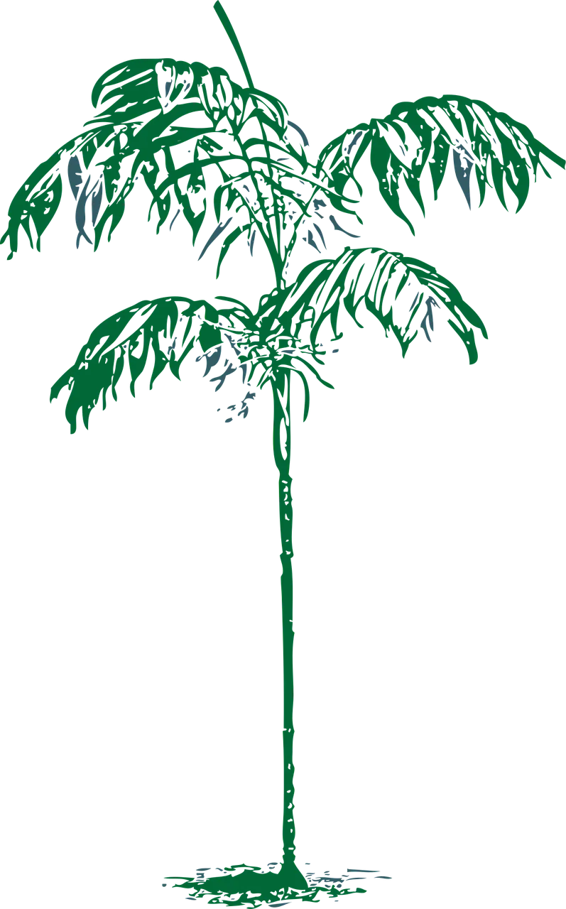 Palm Nature Tree Stickdatei – Natur