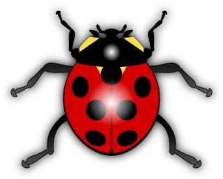 Ladybug Animal Bug Stickdatei