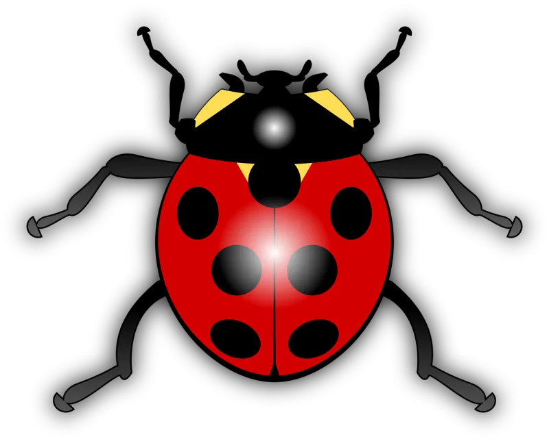 Ladybug Animal Bug Stickdatei – Tiere