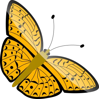 Butterfly Yellow Insect Stickdatei