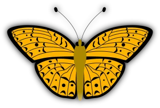 Butterfly Insect Bug Stickdatei