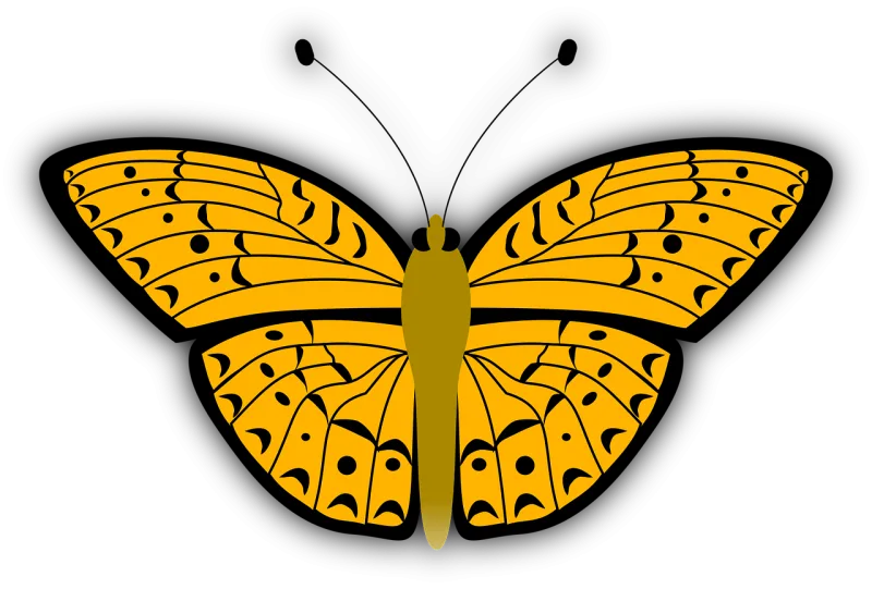 Butterfly Insect Bug Stickdatei – Tiere