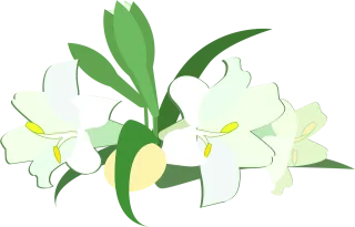 Graphic Easter lily Easter Stickdatei