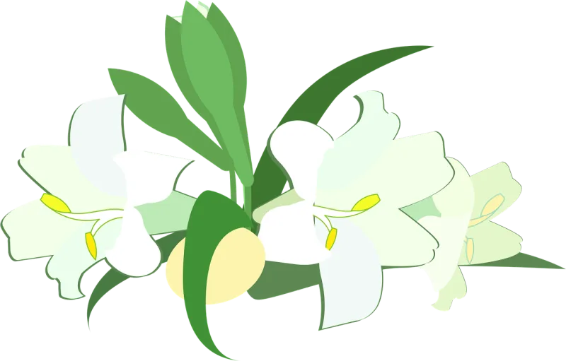 Graphic Easter lily Easter Stickdatei – Blumen