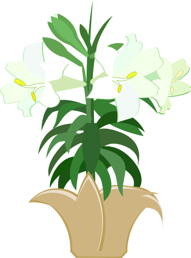 Graphic Easter lily Easter Stickdatei – Blumen