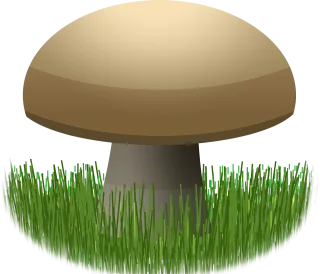 Graphic Mushroom Food Stickdatei