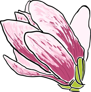 Magnolia Flower Trees Stickdatei