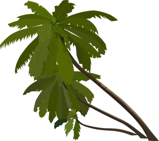 Palm trees Slanted Tropical Stickdatei