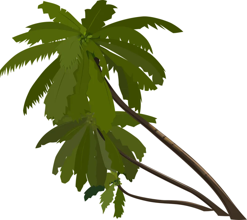 Palm trees Slanted Tropical Stickdatei – Natur
