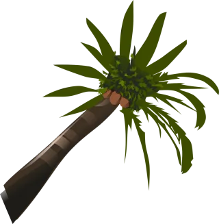Palms Trees Nature Stickdatei – Natur