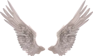 Wings Angel Realistic Stickdatei