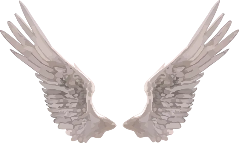 Wings Angel Realistic Stickdatei – Weihnachten