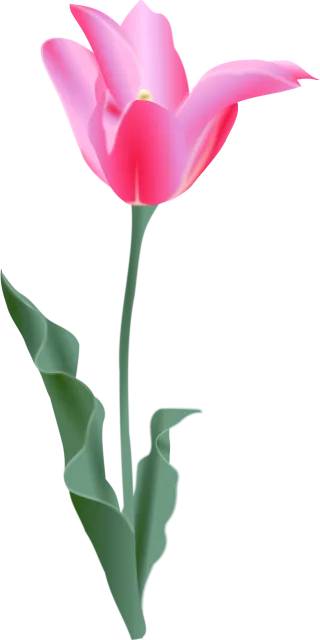 Tulip Pink Beautiful flowers Stickdatei