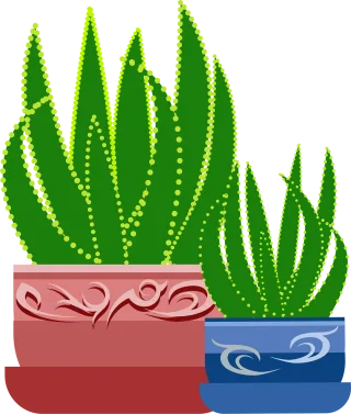 Graphic Aloe Plant Stickdatei