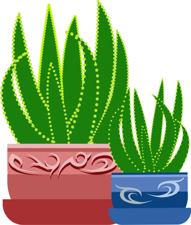 Graphic Aloe Plant Stickdatei – Natur