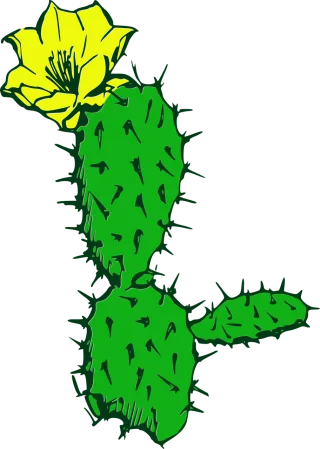 Cactus Flower Flower background Stickdatei