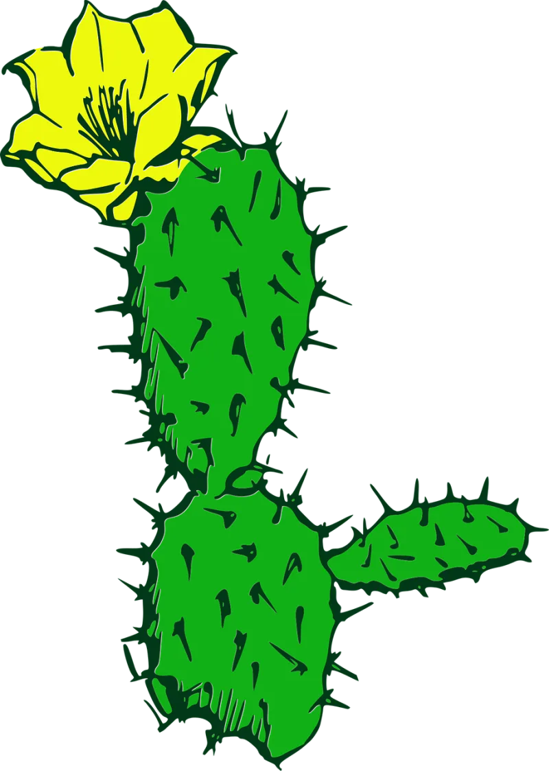 Cactus Flower Flower background Stickdatei – Natur