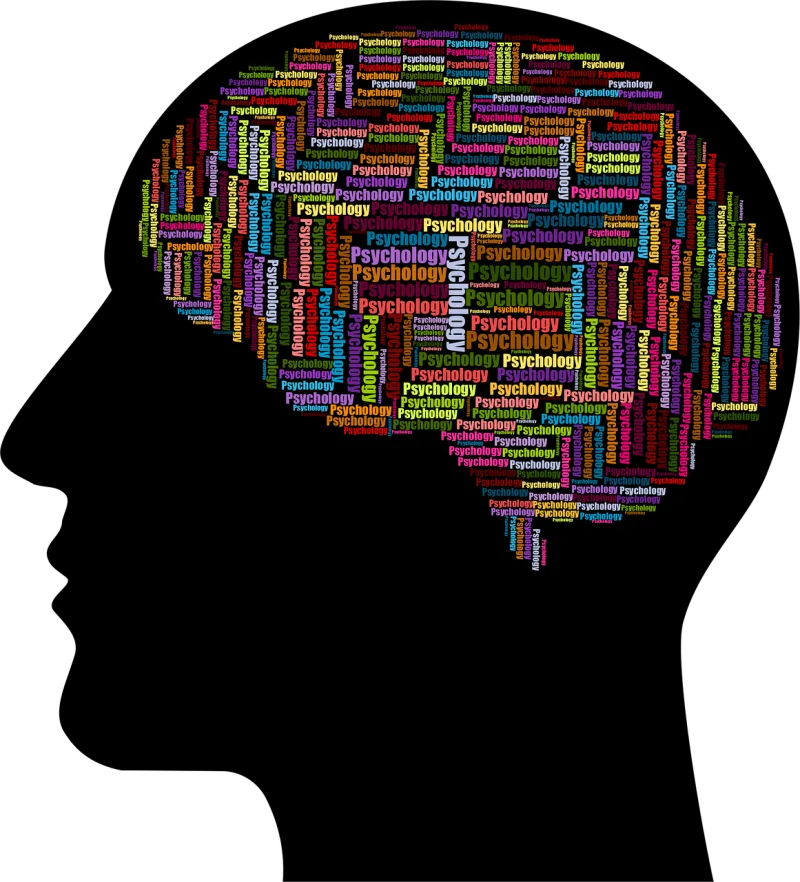 Cranium Head Human Stickdatei – Natur