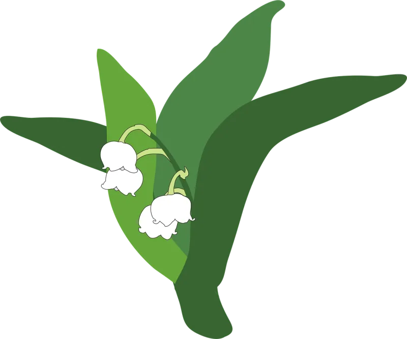 Lily of the valley Plant Flower Stickdatei – Blumen