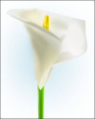 Calla lily White Flower Stickdatei
