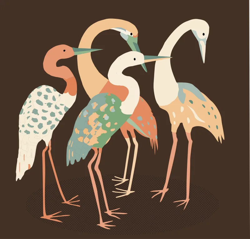 Cranes Birds Long necked Stickdatei – Natur
