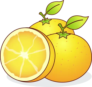 Oranges Fruits Food Stickdatei