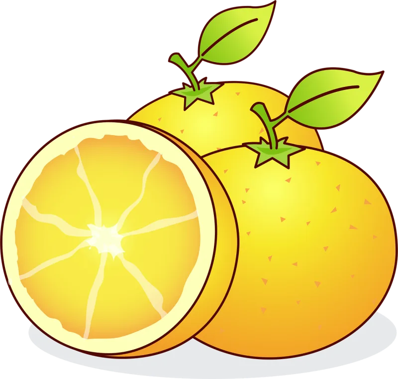 Oranges Fruits Food Stickdatei – Essen & Trinken