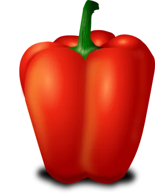 Bell pepper Sweet pepper Capsicum Stickdatei