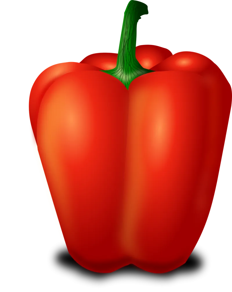 Bell pepper Sweet pepper Capsicum Stickdatei – Weihnachten